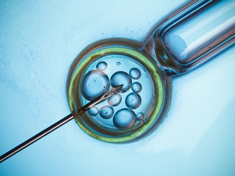 IVF couple